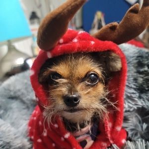 Meet your Posher, Joleen